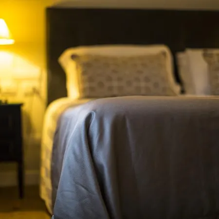 مونتي تشينشي